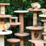 Cat Trees